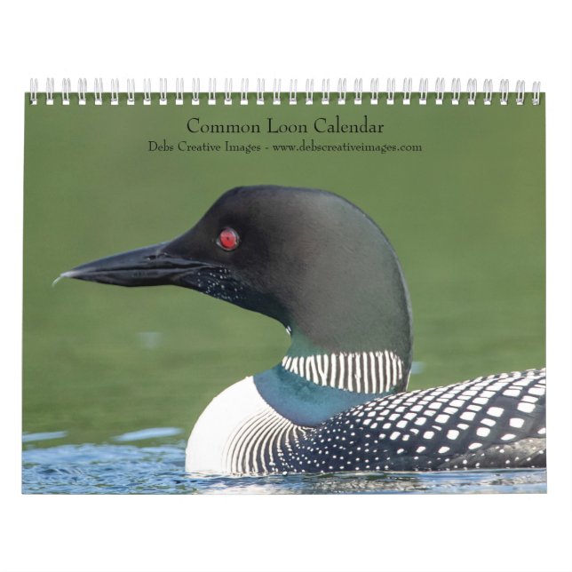 Calendario Loon común 2026 (Tapa)