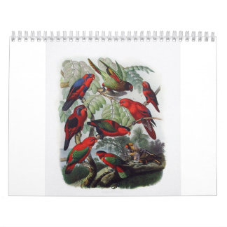 Calendario loro, colección del pájaro