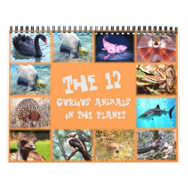 Calendario Los 12 animales más curiosos del planeta (Tapa)