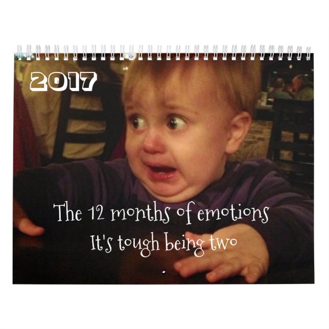 Calendario Los 12 meses de los problemas del emoción-niño. (Tapa)