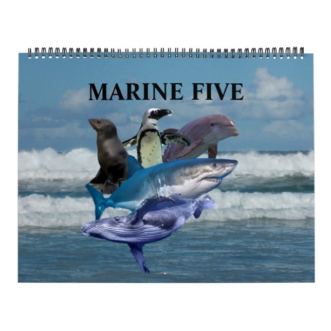 Calendario Los cinco marinos (Tapa)