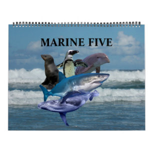 Calendario Los cinco marinos
