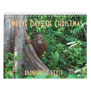 Calendario Los doce días de navidad por los orangutanes
