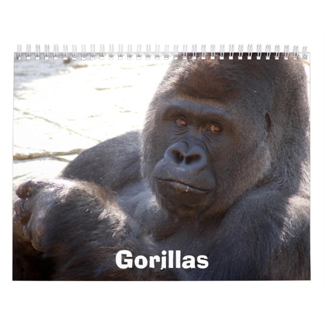 Calendario Los gorilas hacen calendarios, los gorilas (Tapa)