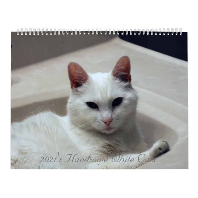 Calendario Los guapos gatos blancos del 2021 (Tapa)
