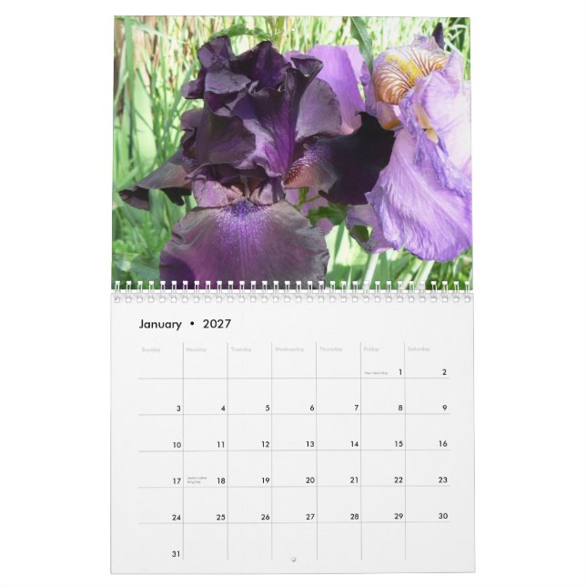 Calendario Los iris asombrosos de Marsha Cale 2008… (Jan 2027)