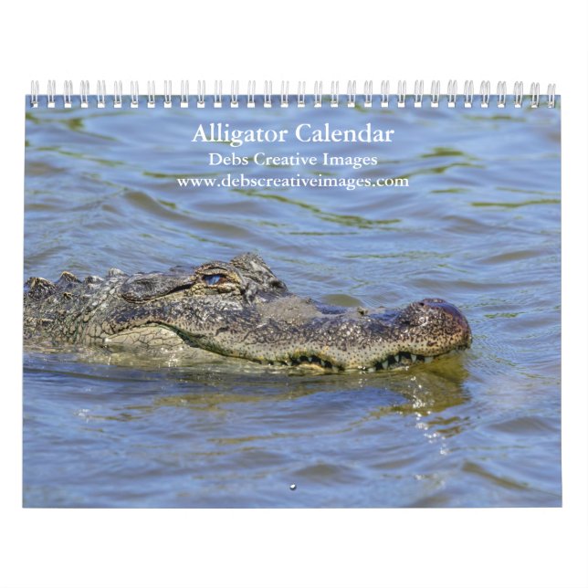 Calendario Los lagartos en el salvaje 2026 (Tapa)