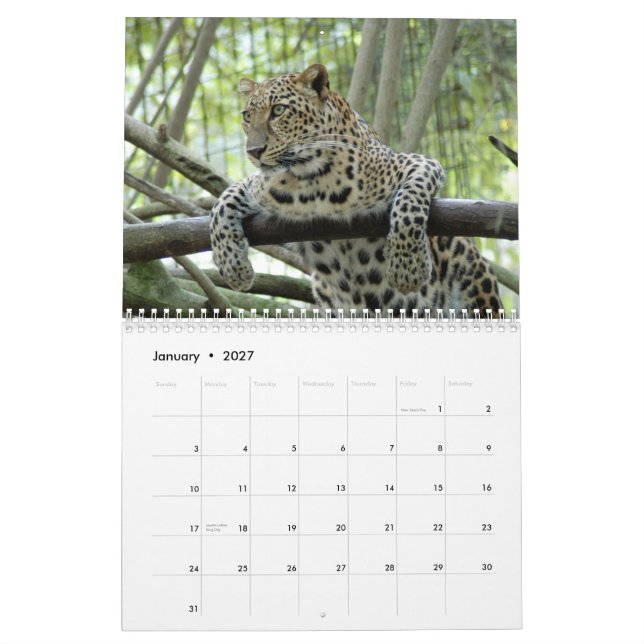 Calendario Los leopardos hacen calendarios, los leopardos (Jan 2027)