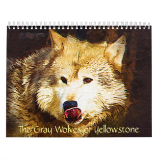 Calendario Los lobos grises de Yellowstone