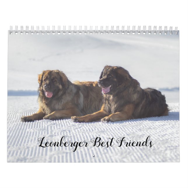 Calendario Los mejores amigos de Leonberger (Tapa)