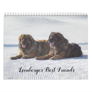 Calendario Los mejores amigos de Leonberger