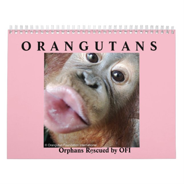 Calendario Los orangutanes rescataron a huérfanos (Tapa)