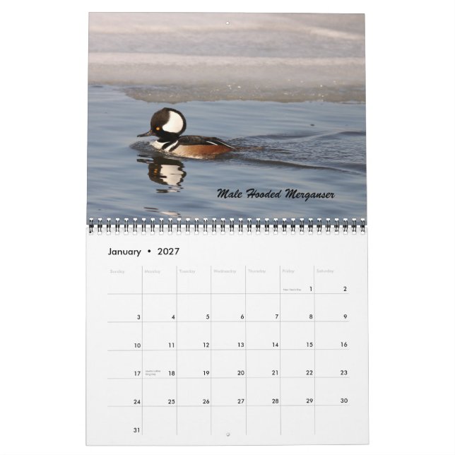 Calendario Los pájaros de Forsythe (Jan 2027)