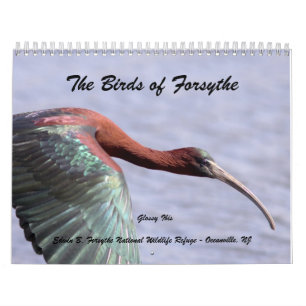 Calendario Los pájaros de Forsythe II