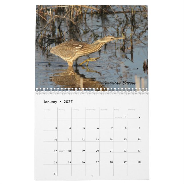 Calendario Los pájaros de Forsythe II (Jan 2027)