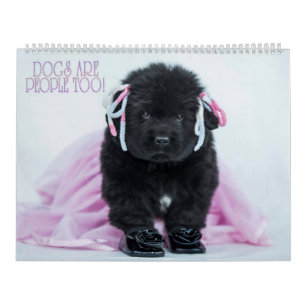 Calendario ¡Los perros Notta Bear también son gente!