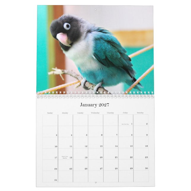 Calendario Lovebirds de los Peniques-Pico (Jan 2027)