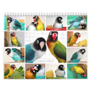 Calendario Lovebirds de los Peniques-Pico
