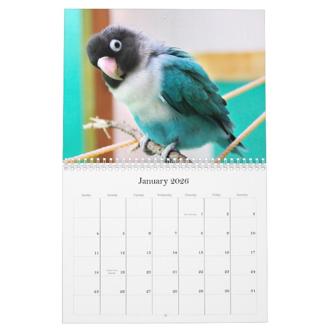 Calendario Lovebirds de los Peniques-Pico (Jan 2026)