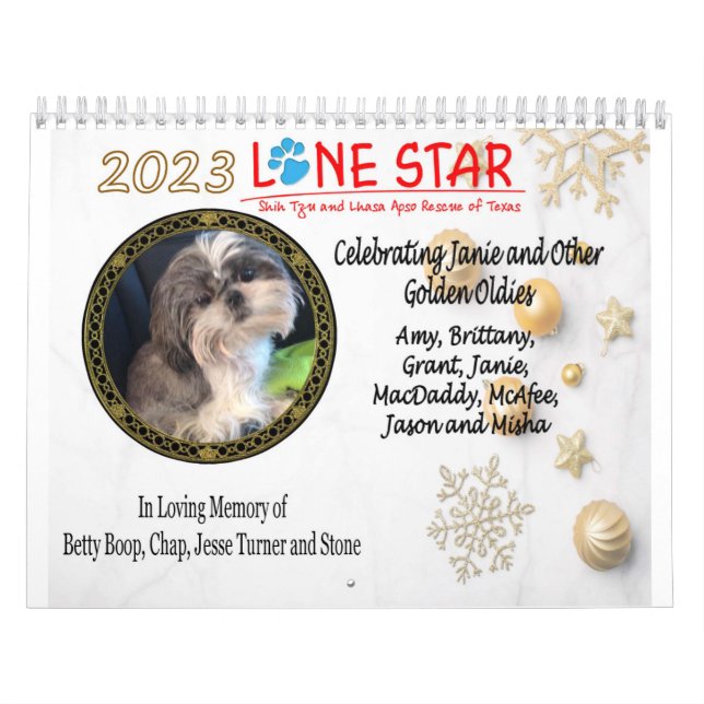 Calendario LSSTLAR 2023 (Tapa)