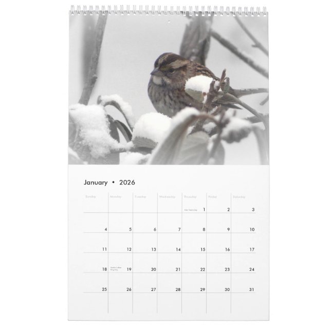 Calendario Lugar tranquilo 2011 (Jan 2026)