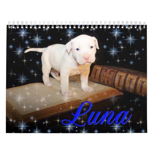 Calendario Luna el perro de perrito abandonado ahorrado (Tapa)