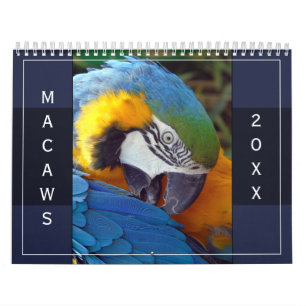 Calendario Macaw Parrot Blue Gold Scarlet Hyacinth 2026 Bird