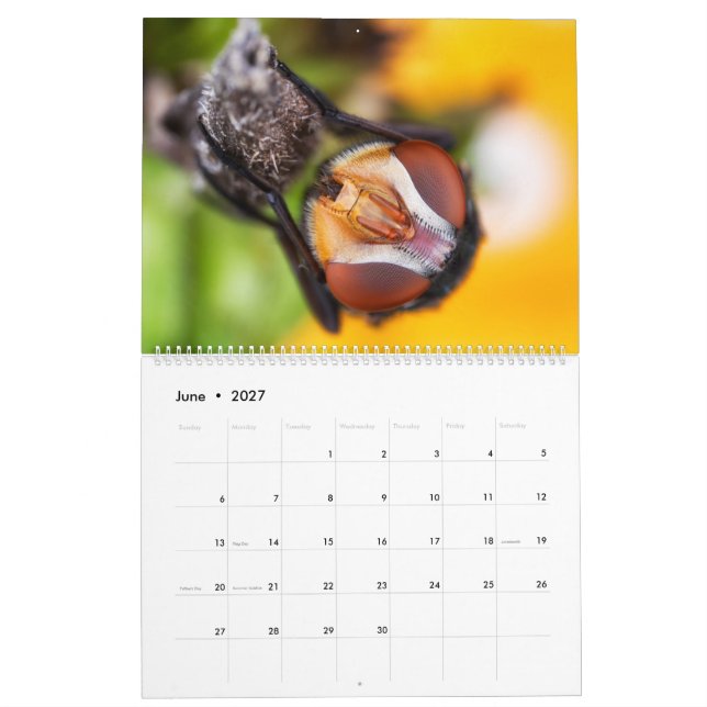 Calendario macro observado insecto de la (Jun 2027)