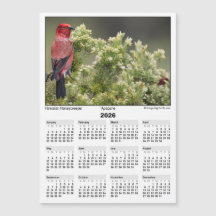 Calendario Magnético 2026 5x7 Apapane Pájaro Hawai