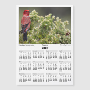 Calendario Magnético 2026 5x7 Apapane Pájaro Hawai