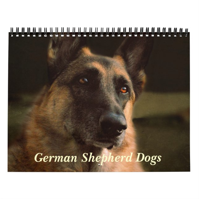 Calendario magnífico del perro de pastor alemán (Tapa)