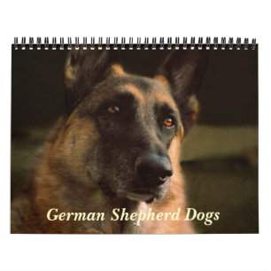 Calendario magnífico del perro de pastor alemán