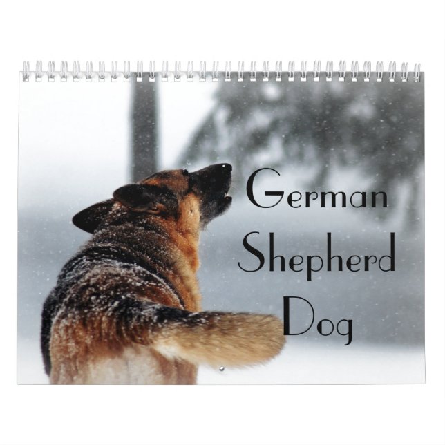 Calendario magnífico del perro de pastor alemán (Tapa)