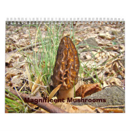 Calendario - Magníficos champiñones