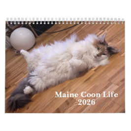 Calendario Maine Coon Cats | Main Coon Life