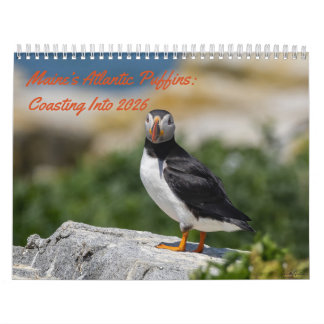 Calendario Maine’s Atlantic Puffins: Coasting Into 2026 