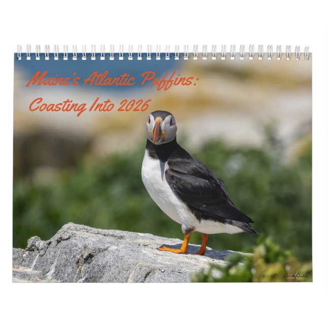 Calendario Maine’s Atlantic Puffins: Coasting Into 2026  (Tapa)