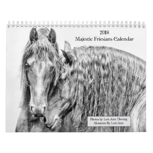 Calendario majestuoso de 2018 frisios (Tapa)