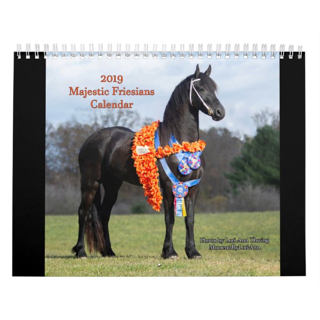 Calendario majestuoso de 2019 frisios (Tapa)