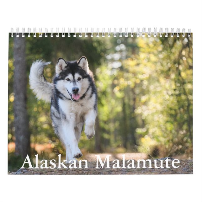 Calendario Malamute de Alaskan (Tapa)