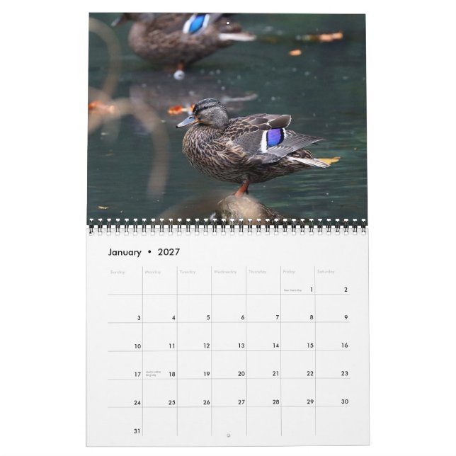 Calendario Malards 2021 (Jan 2027)