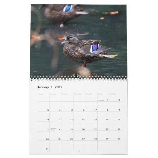 Calendario Malards 2021