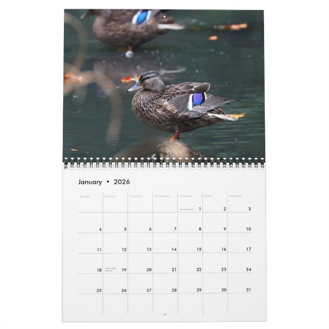 Calendario Malards 2021 (Jan 2026)