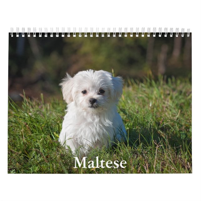 Calendario maltés (Tapa)