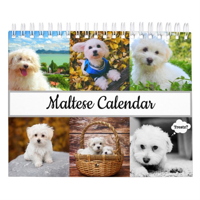 Calendario maltés (Tapa)
