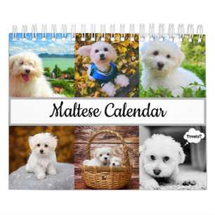 Calendario maltés