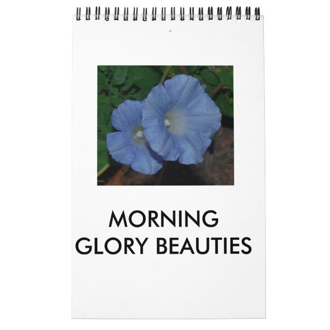 CALENDARIO MAÑANA BELLEZAS GLORIAS (Tapa)