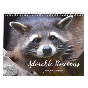 Calendario Mapaches Adorables 2027
