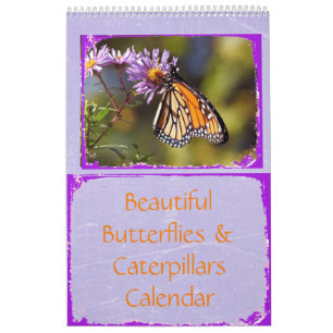 Calendario Maravillosas mariposas y orugas