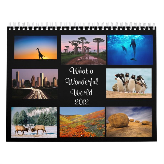 Calendario maravilloso del mundo 2012 (Tapa)